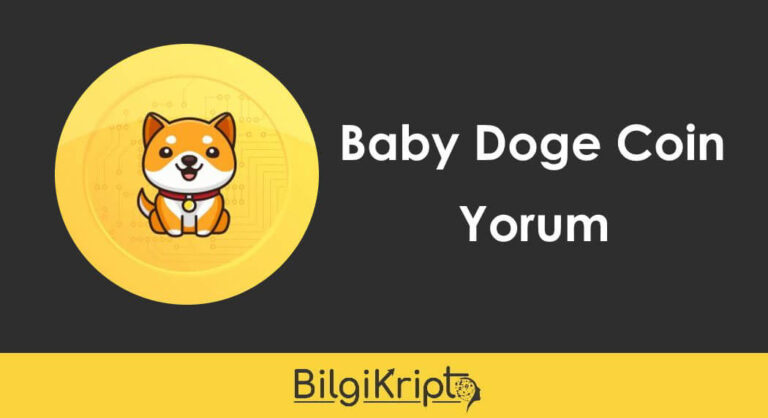 Baby Doge Coin Yorum – Mart 2023