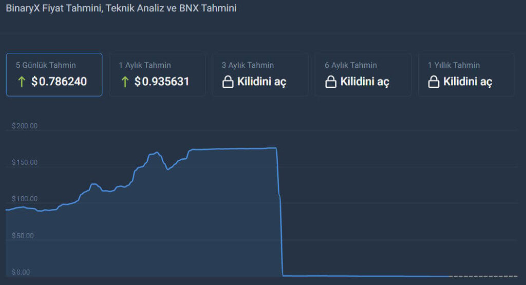 binaryx coin yorum