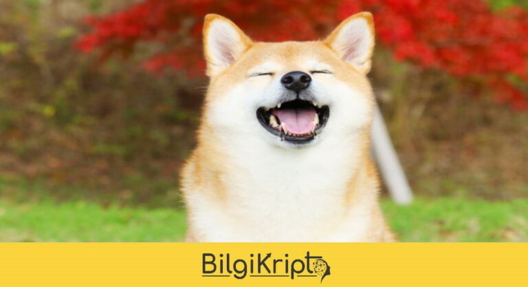 Dogecoin Kripto Para Maskotu Filmin Kahramanı Olacak