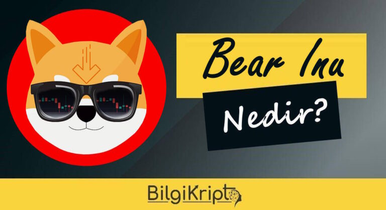 Bear Inu Nedir, Nasıl Alınır?