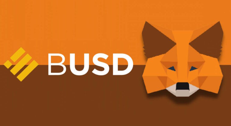 Metamask BUSD Ekleme Rehberi