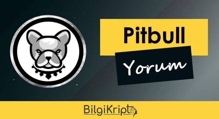 Pitbull (PIT) Coin Yorum, Fiyat Tahmini 2023