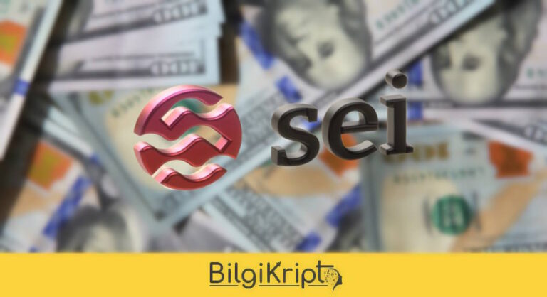 Sei Labs, 30 Milyon Dolar Yatırım Aldı!