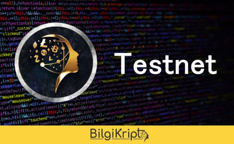 Kriptoda Testnet Nedir, Testnet’ten Nasıl Para Kazanılır?