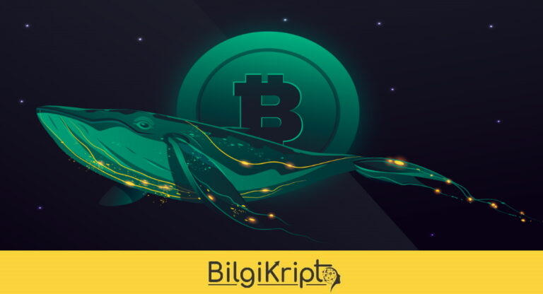 Uyuyan Bitcoin Cüzdanı Uyanıyor