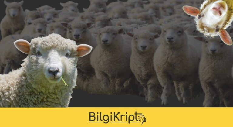 Çiftçiler, Hayvancılık Verilerini İzlemek İçin Blockchain Kullanıyor
