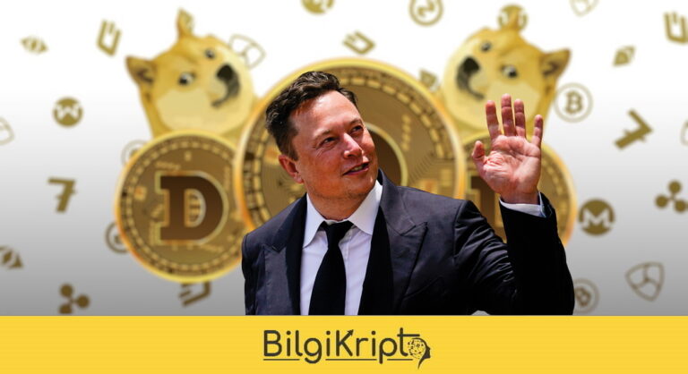 Elon Musk, DOGE Yatırımcılarını Uyardı
