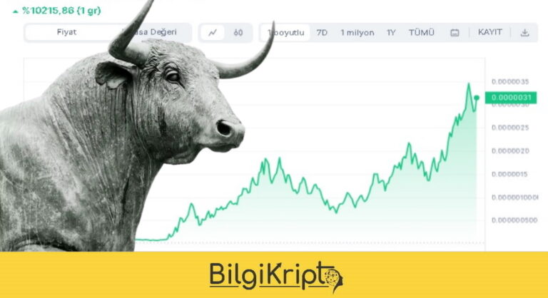O Coin Yüzde 10215,86 Yükseldi!