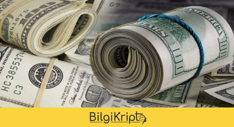 Dolar Fiyatı 24 Mayıs