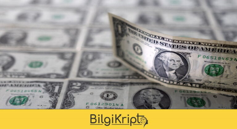Dolar Fiyatı 29 Mayıs
