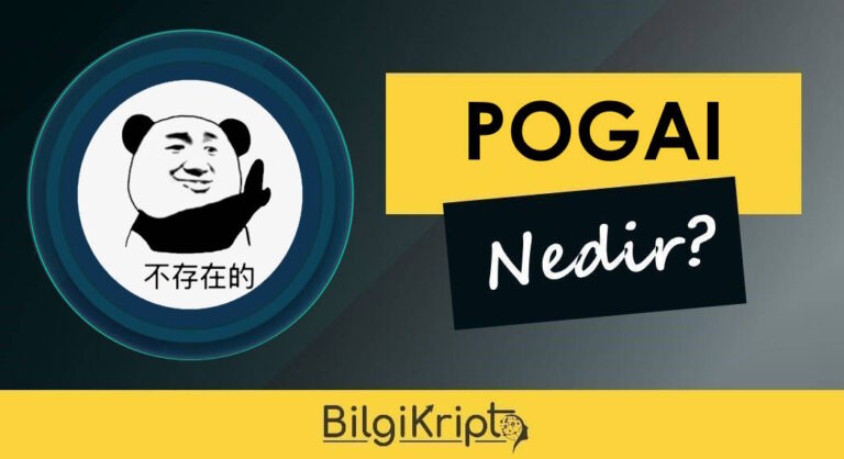 Poor Guy (POGAI) Coin Nedir?