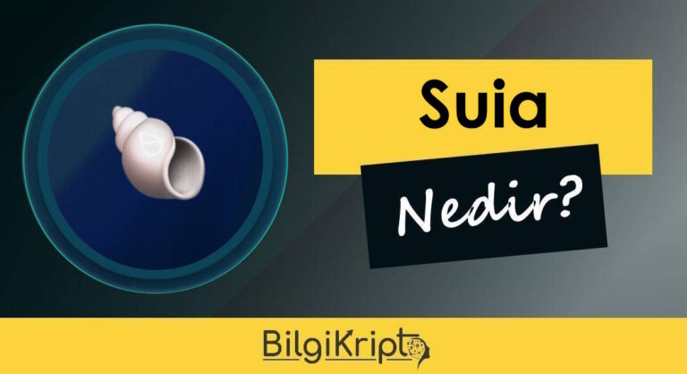 Suia Coin Nedir, Yorum ve İnceleme