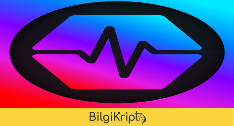 Pulsechain Nedir? PLS Coin Yorum, Geleceği!