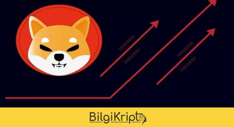 Shiba Inu Milyarlarca Doları Buharlaştırdı!