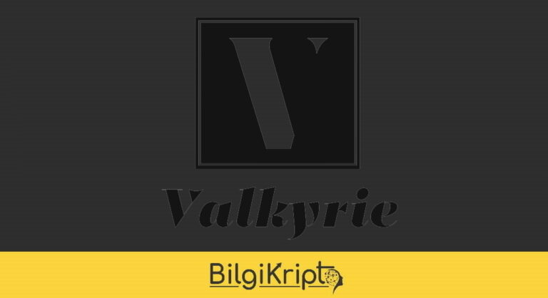 Valkyrie Funds, Spot Bitcoin ETF Başvurusunu Yaparken SEC Onayı Yarışına Katılıyor