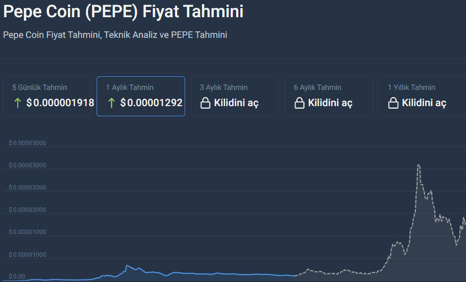 pepe coin haziran