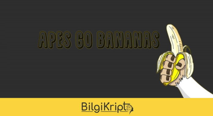 Apes Go Bananas coin nedir