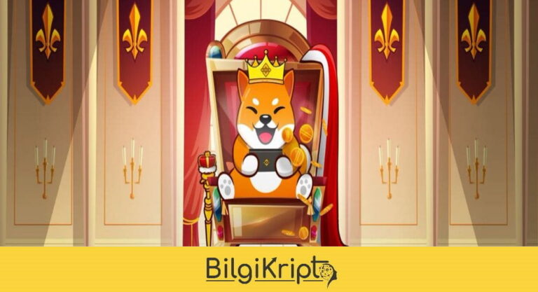 King Shiba Coin Nedir? KINGSHIB Yorum, Geleceği, Fiyat Tahmini