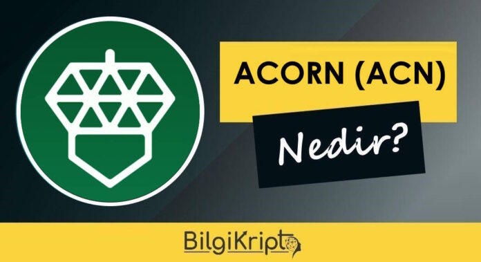 acorn acn coin nedir, nasıl alınır, nereden alınır, arzı, yorum, fiyat tahminleri, geleceği