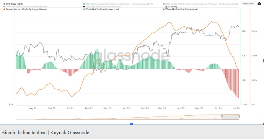 Glassnode gibi bir blockchain veri analitiği firması, büyük Bitcoin sahipleri olarak bilinen "balinaların" varlıklarını artırdığını ortaya koyuyor,