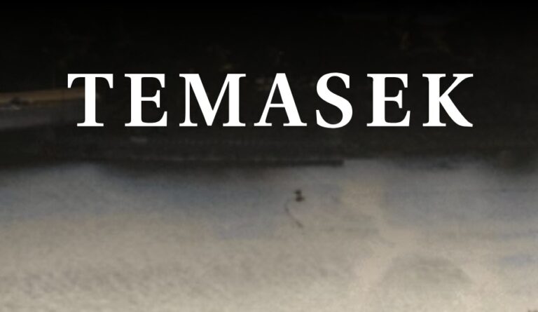 Temasek, Kripto Para Çalışmalarını Azaltma Kararı Aldı