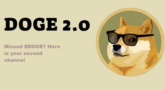 Doge2.0 (DOGE2) NEDİR, Nasıl alınır, yorum, fiyat