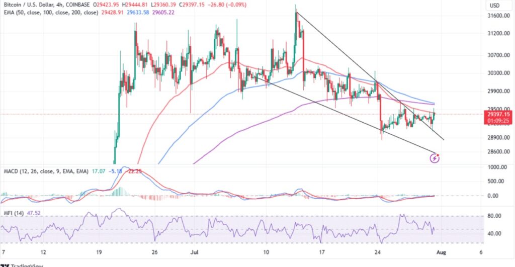 Bitcoin Boğası Ne Zaman Gelecek? BTC Analiz