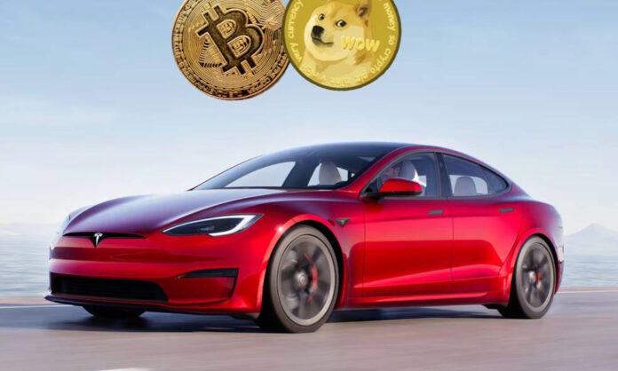 tesla bitcoin dogecoin