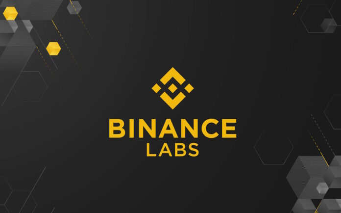 Binance'in Yatırım Kolu Binance Labs, Delphinus Lab yatırım