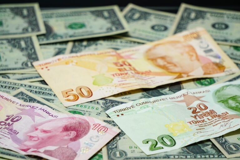 Son Dakika: Dolar 25 TL Seviyelerine Kadar Geriledi