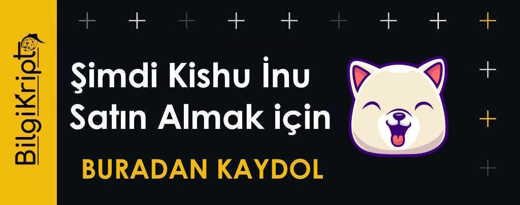 kishu coin satın al, nasıl alınır, nereden alınır, hangi borsalarda, kishuusdt, kishu coin, kishu token