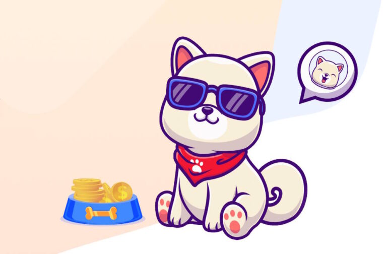 Kishu Coin Yorum, Geleceği ve Fiyat Tahminleri