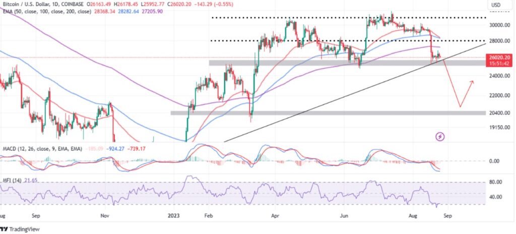 Bitcoin (BTC) Fiyat Tahmini