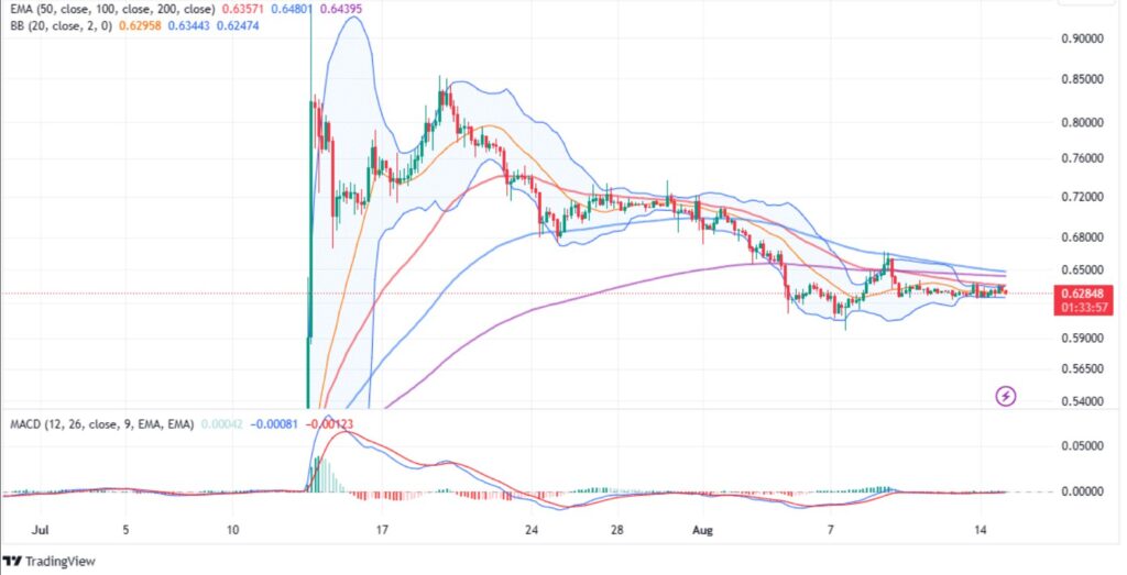 xrp teknik fiyat analizi ağustos fiyatı ne olur, düşer mi , yükselir mi, xrp satın al