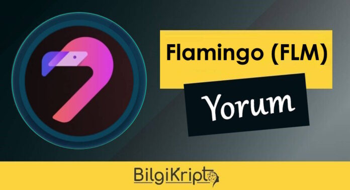 flamingo flm coin nedir, nasıl alınır, yorum, geleceği, fiyat tahminleri eylül ekim kasım aralık 2023, 2024, 2025, 2026 kurucusu, hangi ülkenin,