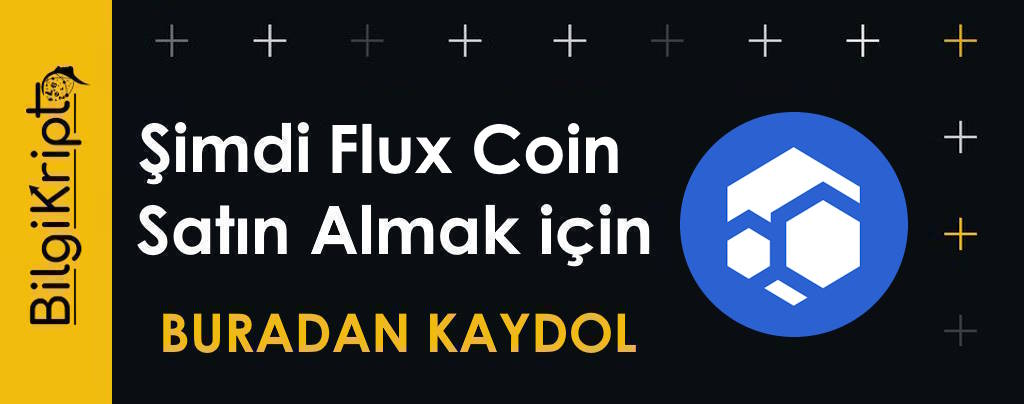 flux coin satın al, nereden alınır, nasıl alınır, fluxusdt, how to buy flux