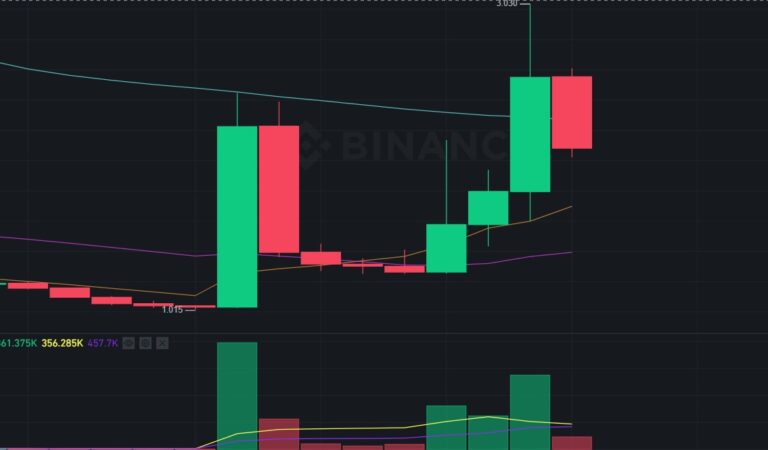 Pump ve Dump Coini Haline Gelen Multichain (Multi) Coin Analizi
