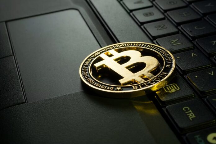 Bitcoin ve Kripto Rallisi için Bazı Veriler Olumlu