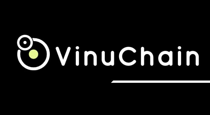 VinuChain COİN NEDİR