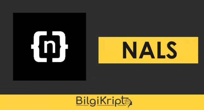 nals coin nedir, nasıl alınır yorum, geleceği, analiz, fiyat tahminleri kasım aralık nereden alınır