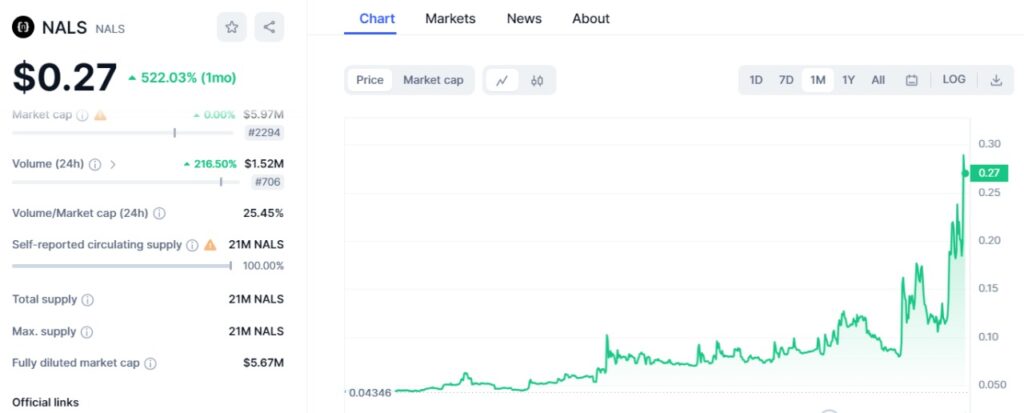 nals coin nedir, nasıl alınır yorum geleceği fiyat tahminleri teknik analiz kasım aralık 2023 2024