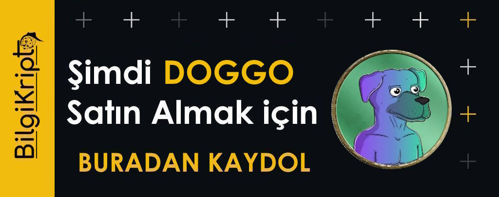 DOGGO COİN NASIL NEREDEN ALINIR SATIN AL HANGİ borsadan alınır how to buy doggo solana doggo memecoin