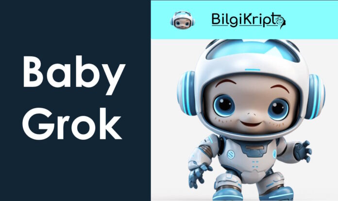 Baby Grok Coin nedir, nasıl alınır, yorum, geleceği, bugün ne olur, yükselir mi, düşer mi, alınır mı babygrok token