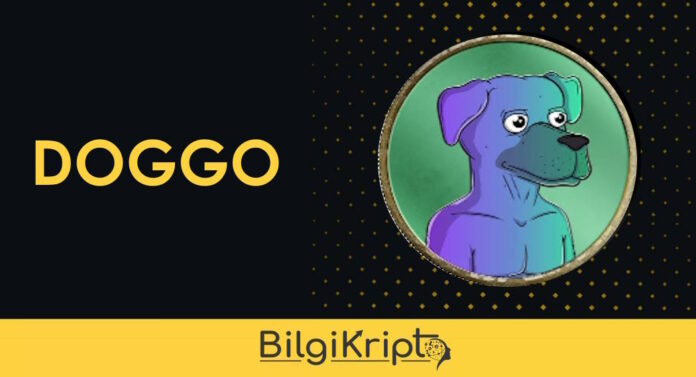 Doggo Coin nedir, nasıl alınır, yorum, geleceği, bugün ne olur