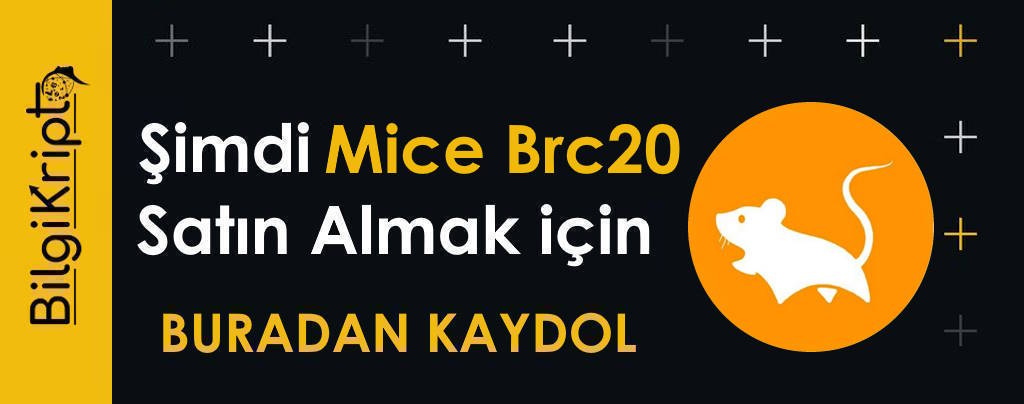 mice coin satın al micebrc20 satın mice brc20 nasıl alınır nereden alınır how to buy mice token nereden alınır nasıl alınır mice coin satın al