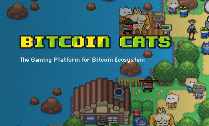 Bitcoin Cats (1CAT) coin token nedir, nasıl alınır, yorum, geleceği, fiyat tahminleri ve bugün ne olur