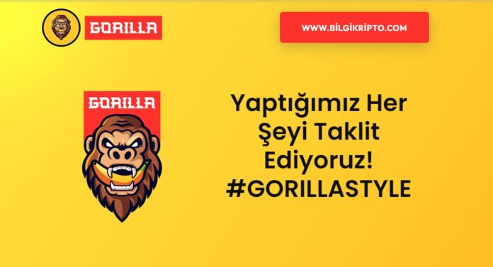 Gorilla coin token nedir, nasıl alınır, toplam, dolaşan arz, en yüksek ve düşük fiyat, alınır mı