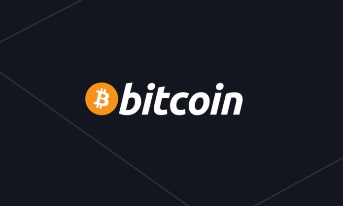 Bitcoin Balina Transferleri