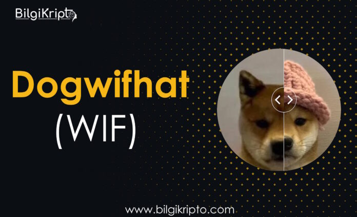 dogwifhat wif coin yorum, geleceği, uzman yorumları