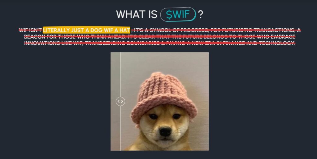 dogwifhat coin token nedir nasıl alınır